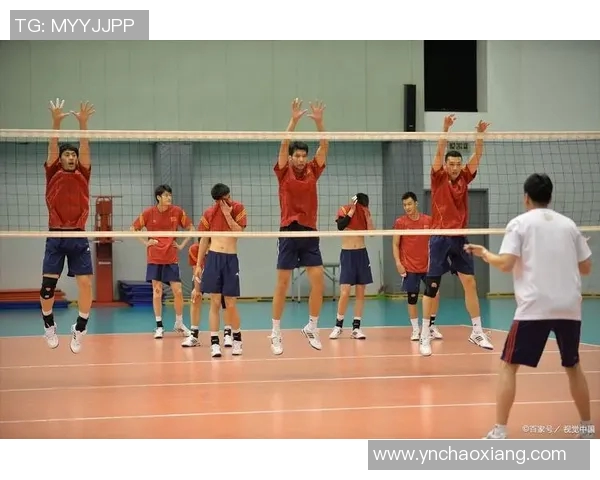 武汉排球队战术解析：聚焦排球竞技中的策略与团队协作