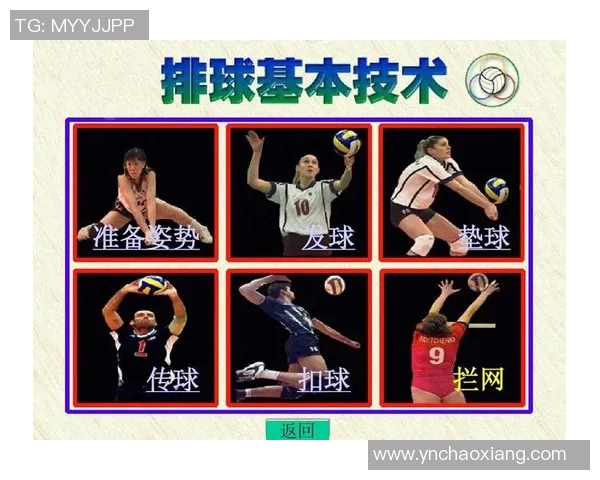 深圳排球队战术对比深度解析与未来发展趋势探讨